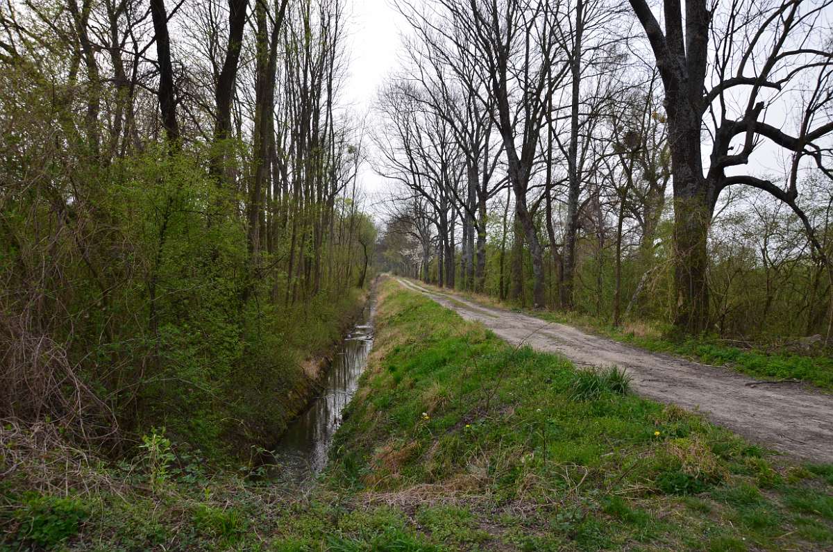 2014-03-31 16-16-54.JPG